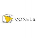 Voxels